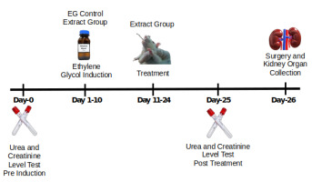 https://www.nrfhh.com/f/fulltexts/203177/NRFHH-00592-Figure1_min.jpg