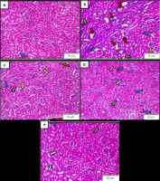 https://www.nrfhh.com/f/fulltexts/203177/NRFHH-00592-Figure3_min.jpg