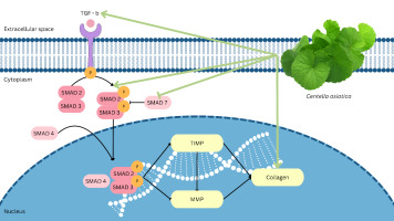 https://www.nrfhh.com/f/fulltexts/203178/NRFHH-00605_Figure1_min.jpg