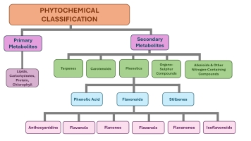 https://www.nrfhh.com/f/fulltexts/203182/NRFHH-00608-Figure1_min.jpg