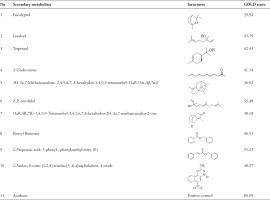 https://www.nrfhh.com/f/fulltexts/206020/NRFHH-5-715-t001_min.jpg