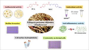 Figure from article: Bioactivities and promising...