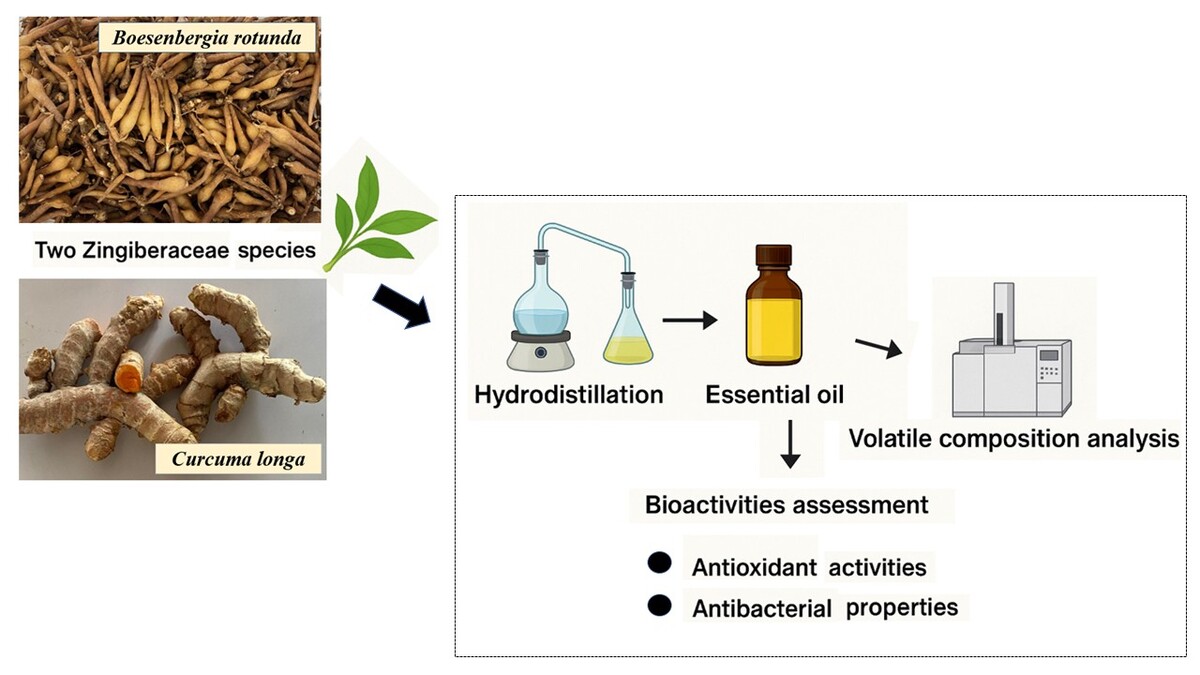 Figure from article: Phytochemical Composition...