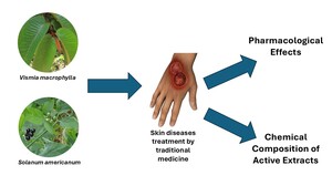 Figure from article: Chemistry and pharmacology...