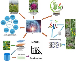 Figure from article: Advancing Medicinal Plant...