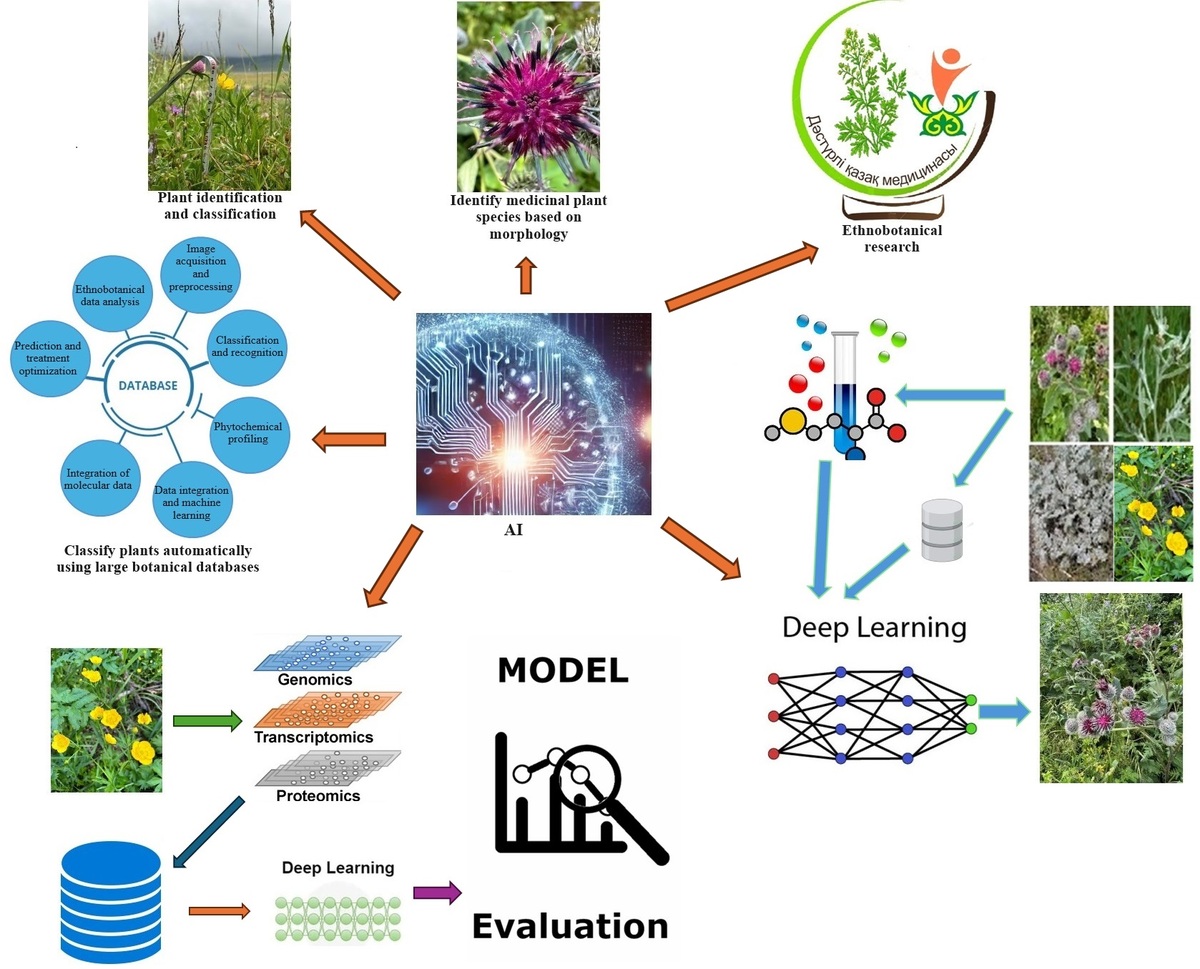 Figure from article: Advancing Medicinal Plant...