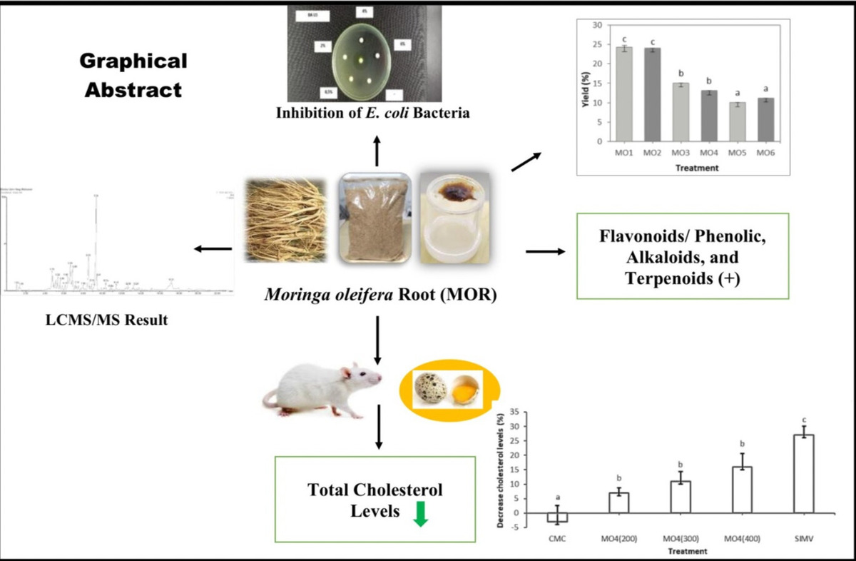 Figure from article: Effect of acid-assisted...