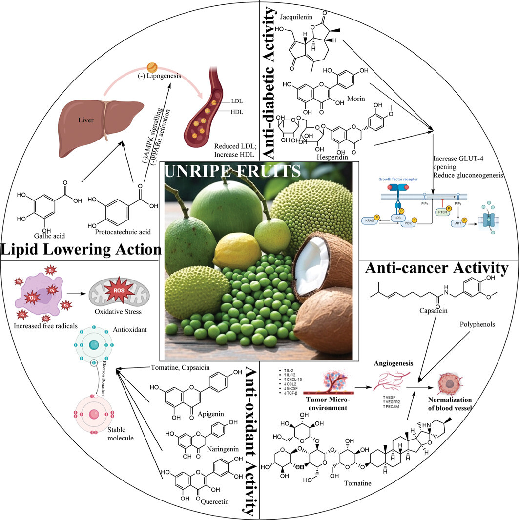 Figure from article: Unripe Fruits Found as...