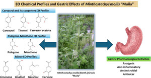 Figure from article: A Comprehensive Review on...