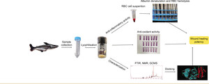 Figure from article: Characterization, molecular...