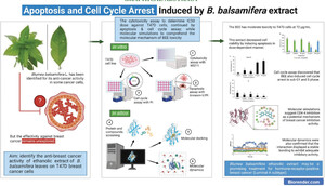 Figure from article: <i>Blumea balsamifera</i>...