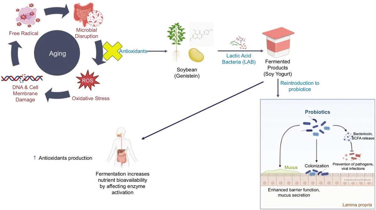 Figure from article: The Impact of...