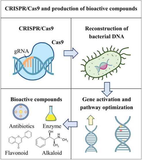 Figure from article: Application of CRISPR/Cas9...