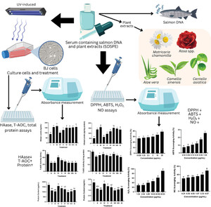 Figure from article: Serum Formulation...