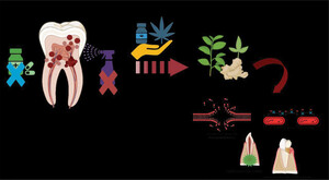 Figure from article: Antibiotic resistance and...