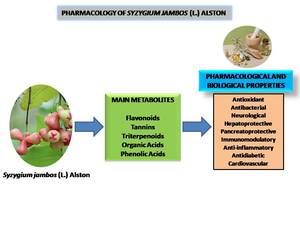 Figure from article: <i>Syzygium jambos</i> (L.)...