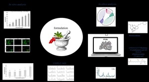 Figure from article: Integrative in vitro and in...