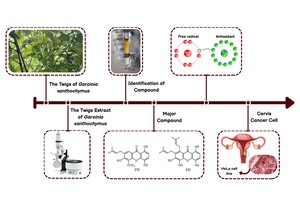 Figure from article: Potential of antioxidants...